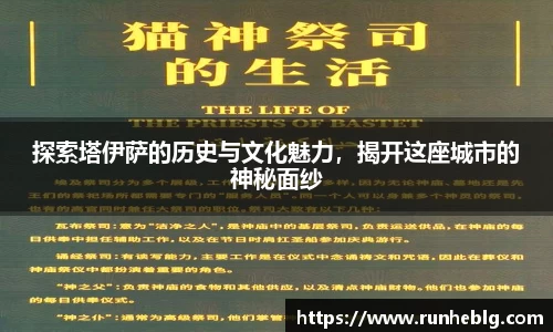 风云体育手机下载